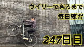 ウイリーできるまで毎日練習247日目【MTB ウイリー編】