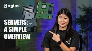Networking Basics: What is a Server?