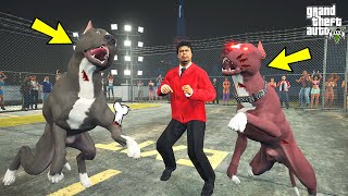 ARENALAR FATİHİ TERMİNATÖR VS CANAVAR PİTBULL MONSTER! - GTA 5