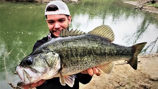 Shallow Water Bass Fishing - Vissen Op Blackbass In De Verenigde Staten!