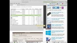 linux mint 13 using system monitor to kill unresponsive applications (IDLE Python 3.2)