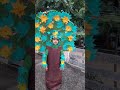 Sarvik Rai dressed like a tree in fancy dress competition at school.