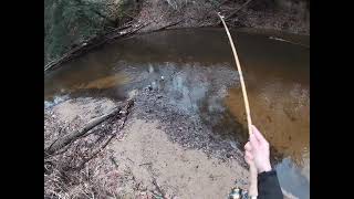 2024 December Steelhead Fishing on a Small Michigan River (First Video!)