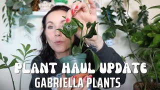 Gabriella Plants 9 month update! -- What lived and what.. died?