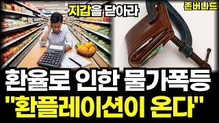 환율 폭등으로 인한 물가 상승 난리났다! 정부는 왜 방관할까? 큰 거 터진다