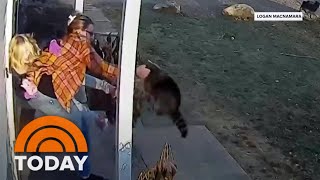 Mom Helps Fend Off Raccoon After It Bites Daughter’s Leg