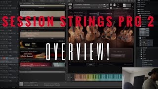 Native Instruments Session Strings Pro 2 Overview!