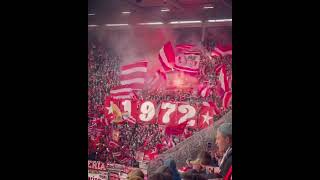 Mainz 05 fans ❣️🔥 | Bayern Munich Vs Mainz (1-3)