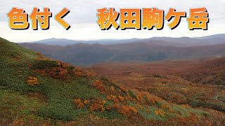 東北遠征　2日目　秋田駒ケ岳