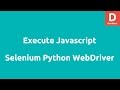 Execute Javascript using Selenium Python