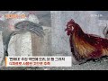 30초뉴스 로마인들이 좋아한 길거리 음식은 2천년 전 폼페이 간이식당 공개 연합뉴스tv yonhapnewstv