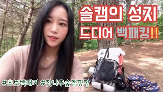 첫백패킹 도전 | 새소리만 들리는 백패킹 성지 솔캠 | 혼자 왔는데도 사장님이 떠들지 말라고 하시네요 ㅎㅎ