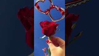 Rose Day Special Song | Happy Rose Day 🌹