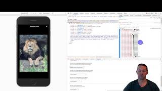 Ionic - Testing your app in Dark Mode