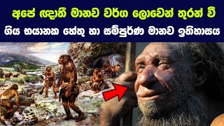 ඉතිහාසයේ ඇත්තෙන්ම සිදුවූයේ කුමක්ද ? මිනිසාගේ සම්භවයේ ඇත්ත කතාව | The story of human origins