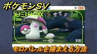 ポケモンＳＶ　モロバレルを捕まえる方法！出現場所は？図鑑No.２０６　ポケモン図鑑を埋めよう！　【スカーレット・バイオレット】