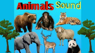 Forest Animals with Their Sounds || Learn Forest Animals || Animals Sounds