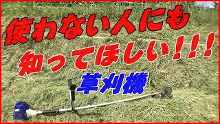 【草刈機】近寄るな!!制御不能になる瞬間がとにかく危険。キックバックとはそういうものです!!危険の理解と、起きることを前提にした草刈りをすべき!!周辺も同様に危険です!!#稲屋の田舎チャンネル