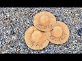 HOW TO: Heat Press PERSONALIZED SUN HAT with Cricut | DIY Floppy Beach Hat (Curving Text Tutorial)