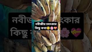 নবীজীর চমৎকার কিছু কথা #history #interestingfacts #factsinhindi #motivation #shortfeed #ytshorts