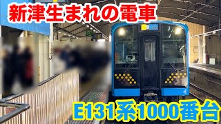 新津生まれの電車 E131系1000番台を見てきた！