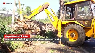 അപകടഭീഷണിയായി കാലപ്പഴക്കമുള്ള മരങ്ങള്‍ | വടക്കാഞ്ചേരി സംസ്ഥാന പാതയിൽ ആശങ്ക