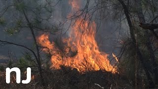 New Jersey Fights Fire With Fire Using Annual Controlled Burn