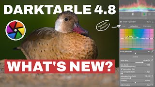 Darktable 4.8: What's NEW? 9 Things You Need To Know!