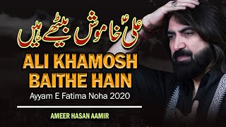 Ameer Hasan Aamir | Ali Khamosh Baithe Hai | Ayyam e Fatimiya 2020/1441