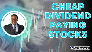 Dividend Stocks to Buy NOW! | VectorVest