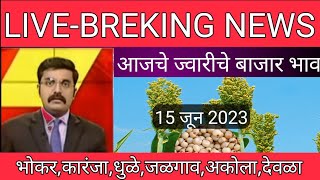 आजचे ज्वारी बाजार भाव 15 जून | aajche jwari bajar bhav | jwari bhav today | jwari price |