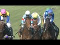 【競馬】2023年 第58回関屋記念 gⅢ 【アヴェラーレ 戸崎圭太】