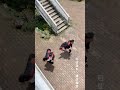 These Two Men Parkour Like Ninjas, So Cool😂 #Parkour #Extreme #Fun #Exciting