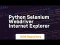 python selenium webdriver internet explorer