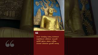 රතන සූත්‍රය - 14 වන ගාථාව #relaxingmusic #buddha #buddhistconcept # buddhist #buddhistphilosophy