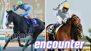 ドウデュースandイクイノックスencounter【競馬MAD】あの背中を信じて