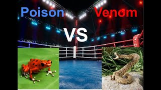 Contrast Corner Episode 1: Poison vs Venom