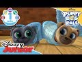 Puppy Dog Pals | Bubble Wrapped Rap Song | Disney Junior UK