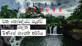 මිනිපේ අමුනේ සැගවුනු සුන්දරත්වය...best place Srilanka