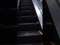 【toshiba】tsutaya 金沢店 のぼりの エスカレーター【escalator】ツタヤ