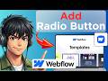 How To Add Radio Button in Forms Webflow (Tested)