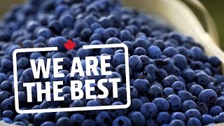 80 million pounds of blueberries all from one farm | We Are The Best