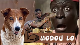 Krokette serignou Lamb? 🐕💪🏿🤩Croquette - Ep 22