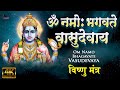 Om Namo Bhagavate Vasudevaya | Powerful Chant for Peace & Devotion