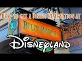 Learn how to get a dining reservation at the Blue Bayou in Disneyland | Review and tips included!