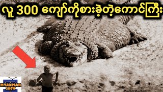 TOP 10 ကမ္ဘာ့အကြီးဆုံးမိကျောင်းကြီးများ | crocodile | alligator