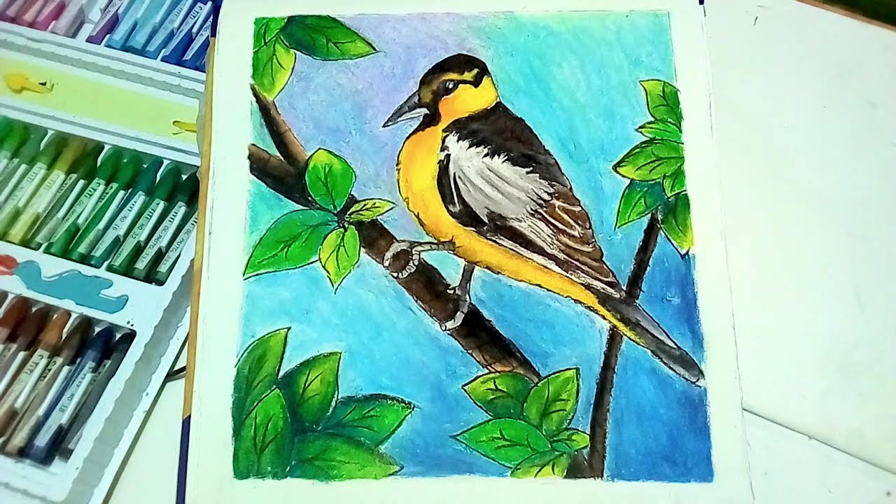 How To Draw Bird With Pastels Colour.😍😍How To Make Pastel Colour Easily ...