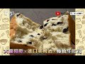 Toko roti SAKImoto telah menancapkan benderanya di New Taipei! Makanlah 