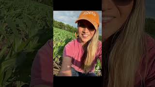 Iowa Farm Mama #iowafarmmama #womeninconstruction #farmher #familyfarm