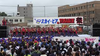 北海道大学 縁　2019YOSAKOIソーラン ちとせトーナメント7/14(日)　セミトーナメント